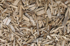 biomass boilers Ryton Woodside