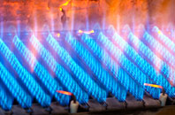 Ryton Woodside gas fired boilers
